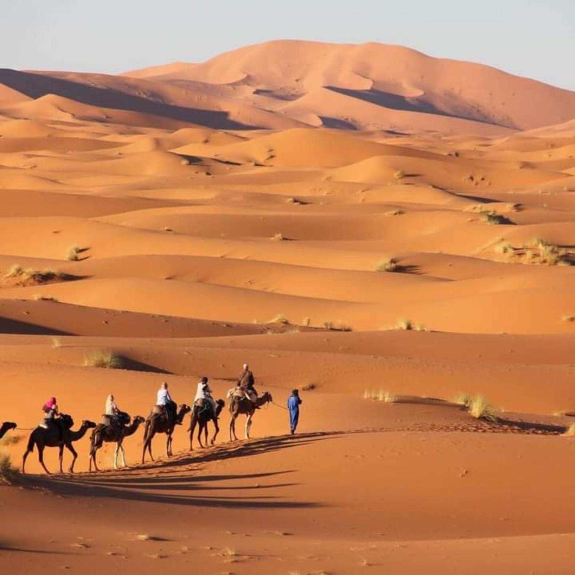 Erg Chebbi Romantic Desert Camp Мерзуга Екстер'єр фото